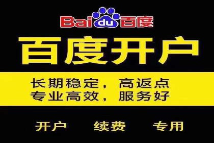 SEM推广优化策略：成功案例解析